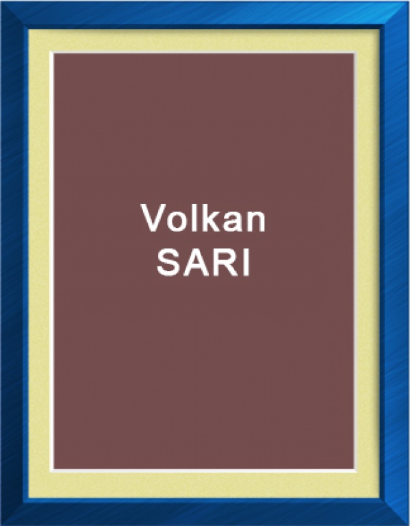 Volkan SARI